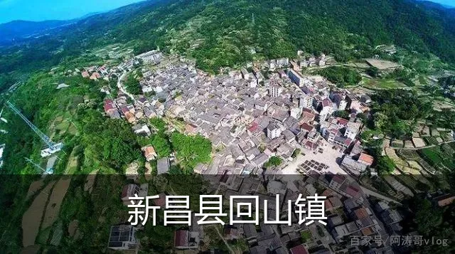 新昌县回山镇